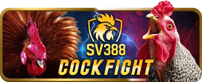 Màn hình video slot hiện đại với đồ họa đẹp mắt và nhiều tính năng thưởng